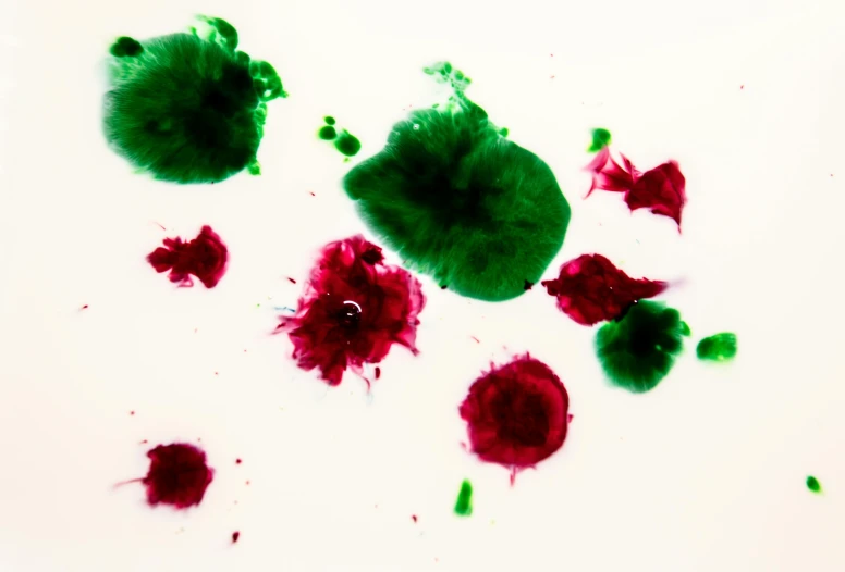 red and green paint splattered on a white surface, a microscopic photo, inspired by Lucio Fontana, pexels, made of alcohol ink on parchment, squashed berries, holiday season, red green white black