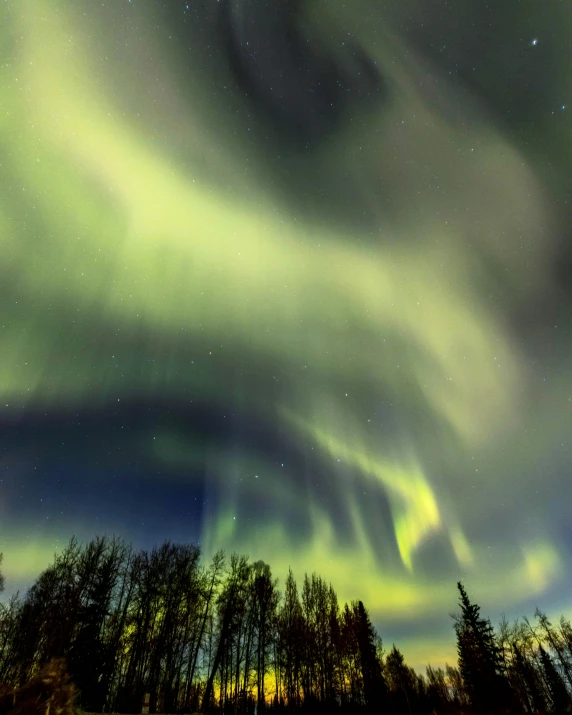 a sky filled with lots of green and yellow lights, by Terese Nielsen, pexels contest winner, hurufiyya, alaska, twirls and curves, thumbnail, grey