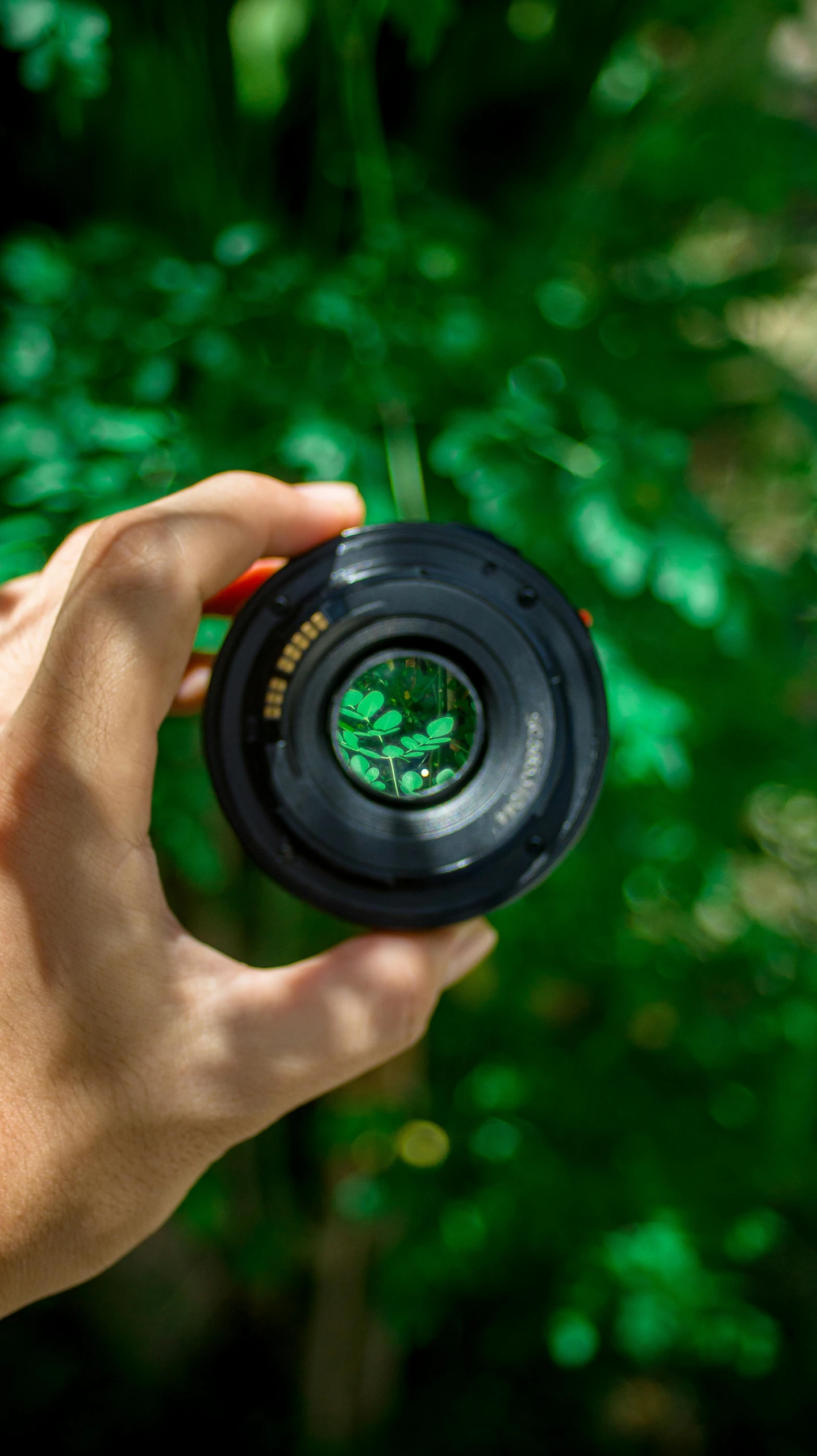 a close up of a person holding a camera, by Matthias Stom, unsplash, spherical lens, colour photography, zoom lens, outdoor photo