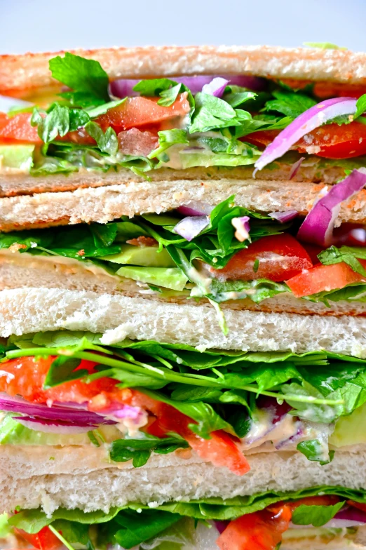 a close up of a sandwich on a plate, profile image, vibrant greenery, daily specials, multi colour