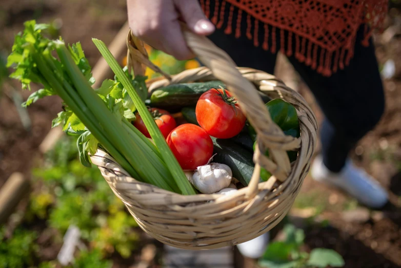 a person holding a basket full of vegetables, a picture, by Julian Hatton, unsplash, parks and gardens, avatar image, detail shot, teaser