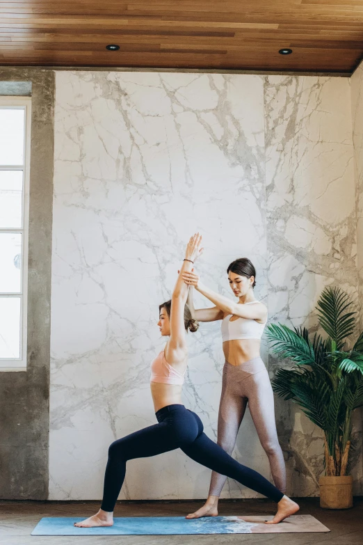 a man and a woman doing yoga together, pexels contest winner, renaissance, arched back, low quality photo, woman holding another woman, marble room