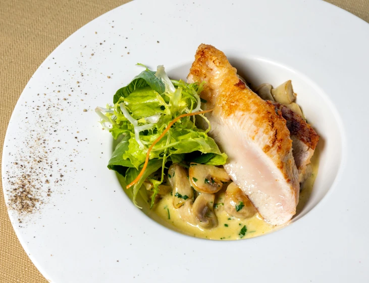 a close up of a plate of food on a table, pexels contest winner, renaissance, chicken, creamy, square, abalone