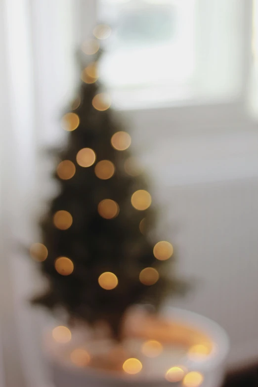 a small christmas tree sitting in front of a window, pexels, light and space, hasselblad film bokeh, softly lit, backlighted, a quaint