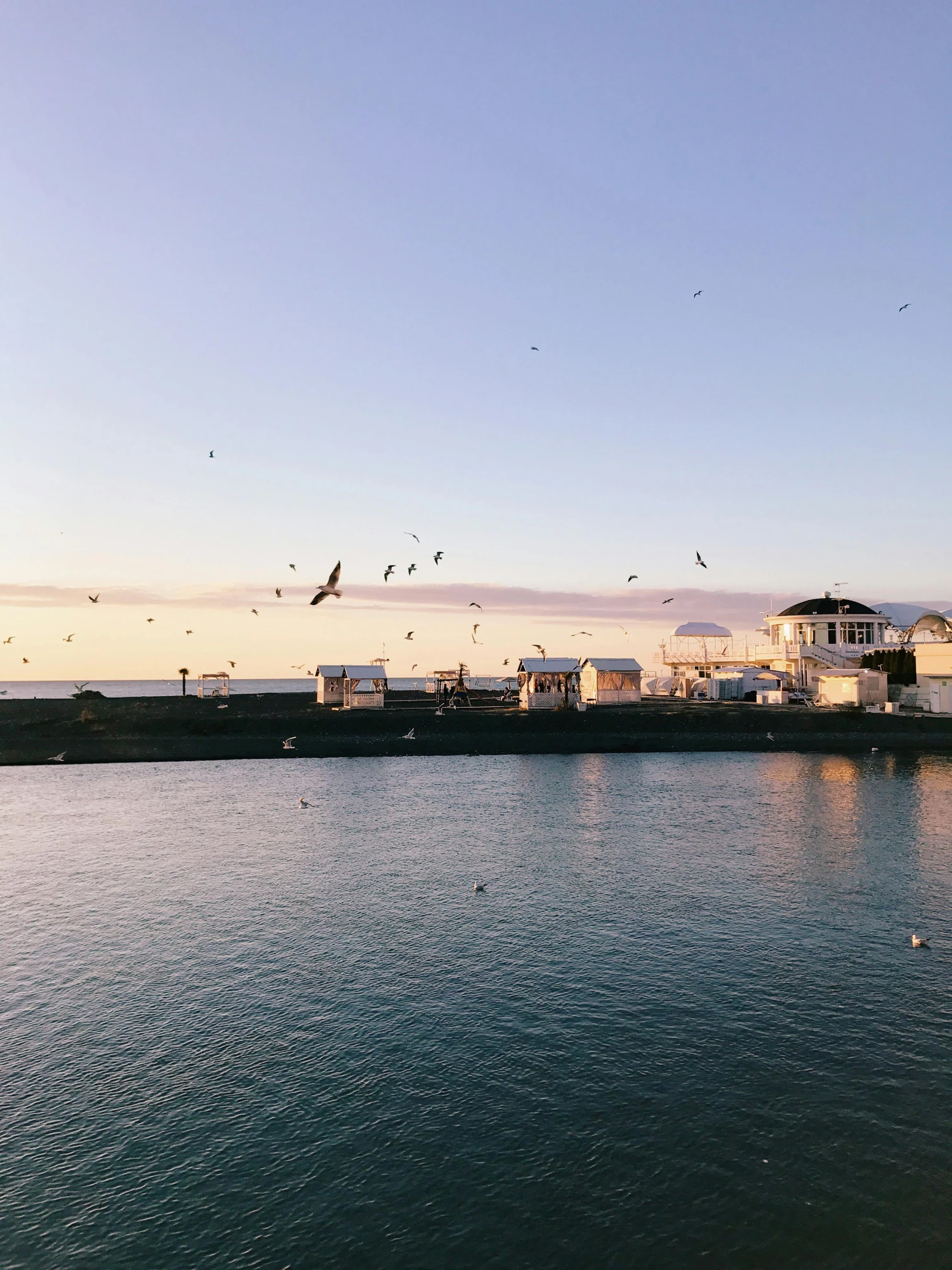 a group of birds flying over a body of water, happening, reykjavik, profile image, at golden hour, wood pier and houses