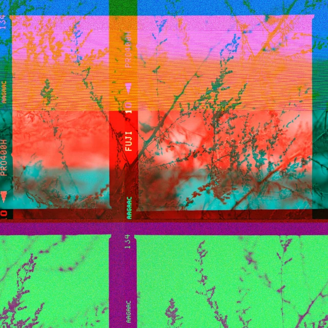 a picture of a picture of a picture of a picture of a picture of a picture of a picture of a picture of a picture of a, an album cover, inspired by Richter, flickr, color field, fuschia and vermillion and cyan, digital forest, pc screen image, broken composition