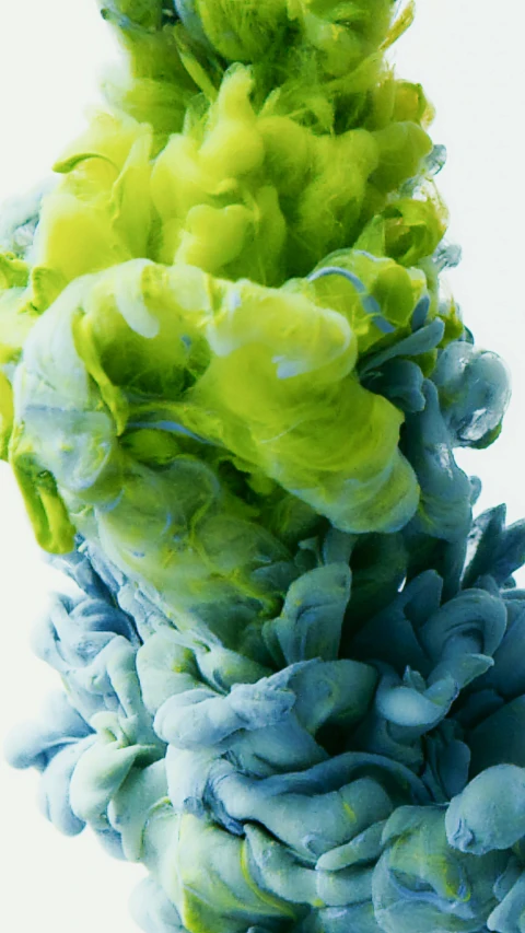 a close up of a blue and green liquid, inspired by Alberto Seveso, unsplash, painted pale yellow and green, coxcomb, nick knight, lettuce