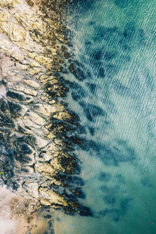 a large body of water next to a beach, a microscopic photo, unsplash contest winner, looking down from above, jagged rocks, vivid lines, flight