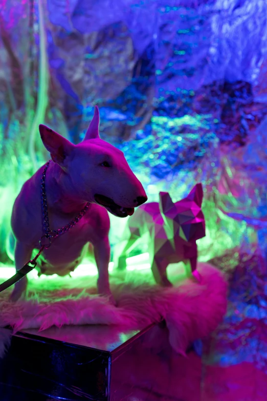 a couple of dogs that are on a leash, a hologram, inspired by David LaChapelle, unsplash, psychedelic art, found in a cave made of clay, soft neon purple lighting, mini model, background is a low light museum