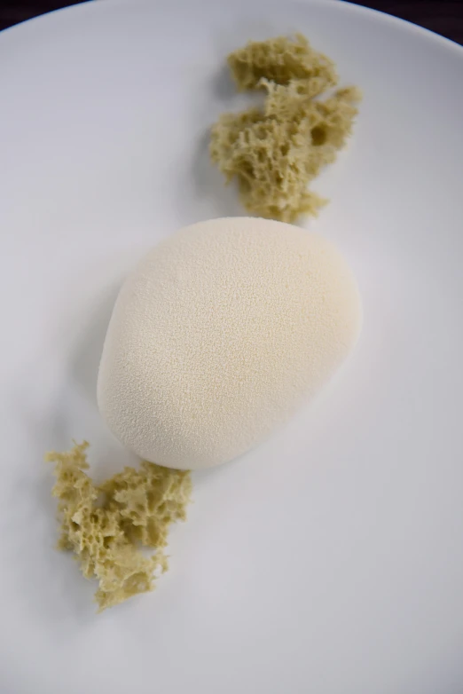 a close up of a plate of food on a table, sponge, beautiful bone structure, yasumoto oka, yeast