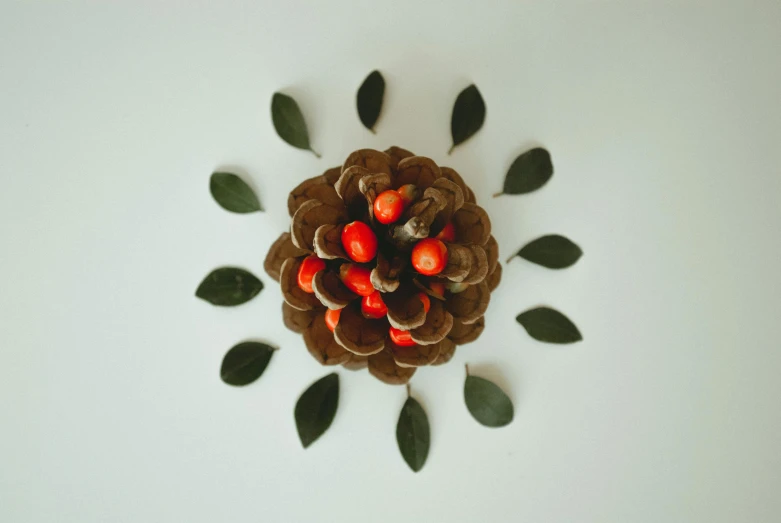 a pine cone with leaves and berries on it, an album cover, inspired by Andy Goldsworthy, pexels contest winner, sacral chakra, on a white table, circular shape, made of mushrooms