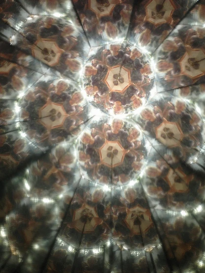 a close up of a flower in a dark room, an album cover, inspired by Anna Füssli, generative art, seen through a kaleidoscope, interior of a marble dome, highly detailed # no filter, ( ( dark skin ) )
