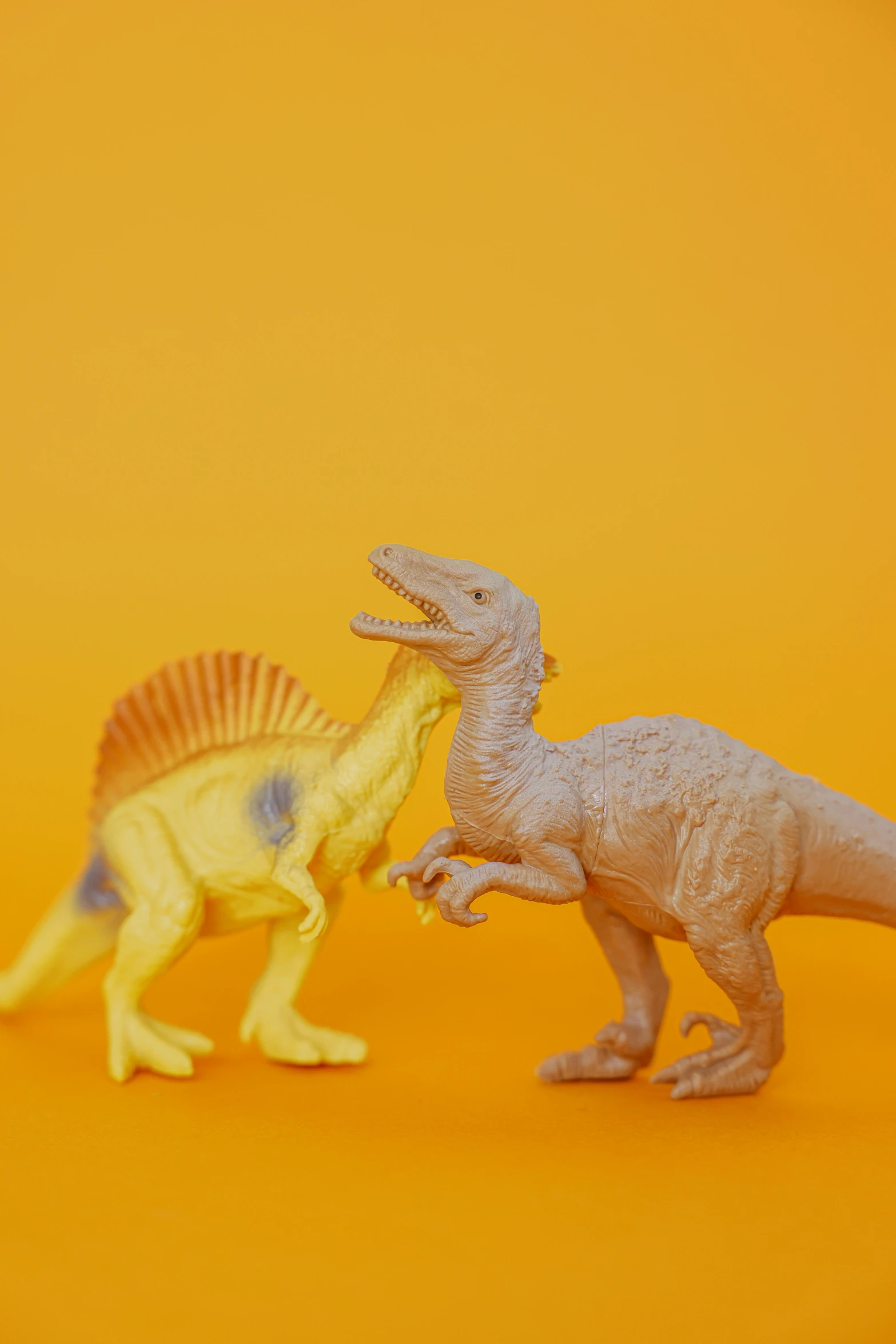 a couple of toy dinosaurs standing next to each other, inspired by Adam Rex, trending on unsplash, yellow backdrop, albino, fossil, 1 / 8 0 s