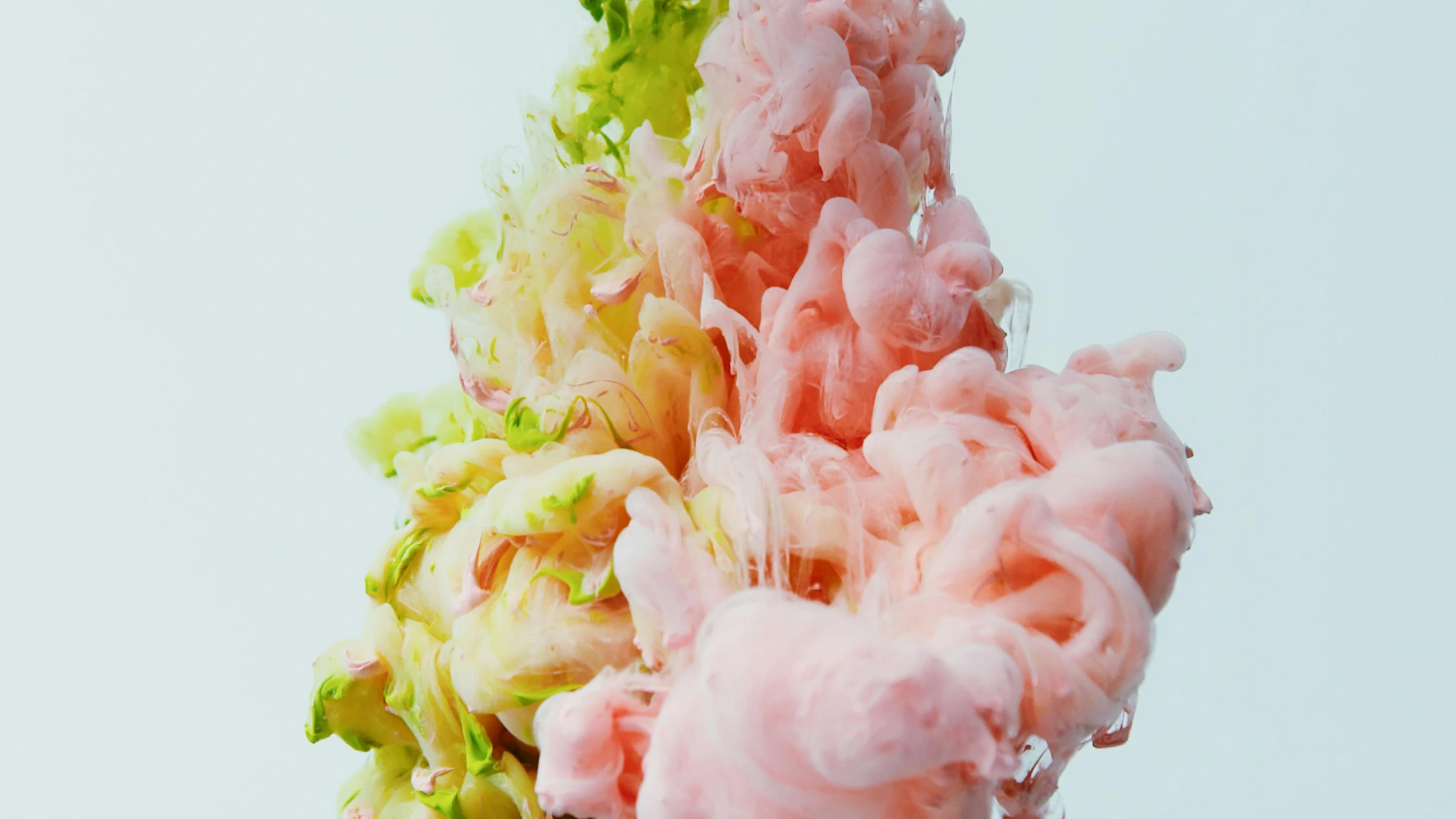 a close up of a pink and green flower, an abstract sculpture, inspired by Alberto Seveso, unsplash, cotton candy trees, smoke grenades, made of food, painted pale yellow and green