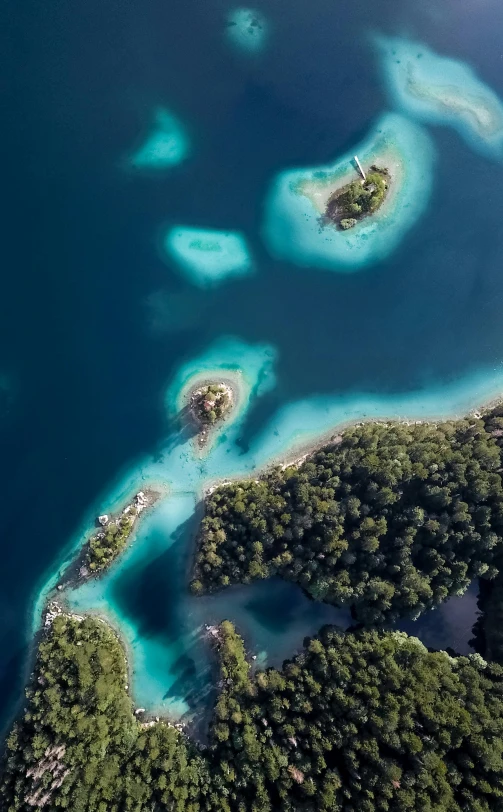 a large body of water surrounded by trees, an album cover, pexels contest winner, sumatraism, bird\'s eye view, picton blue, today\'s featured photograph 4k, crystal clear blue water