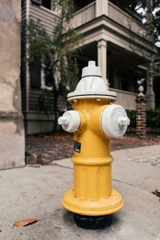 a yellow and white fire hydrant on a sidewalk, a colorized photo, by Gavin Hamilton, unsplash, in savannah, ignant, stephen shore, portrait photo