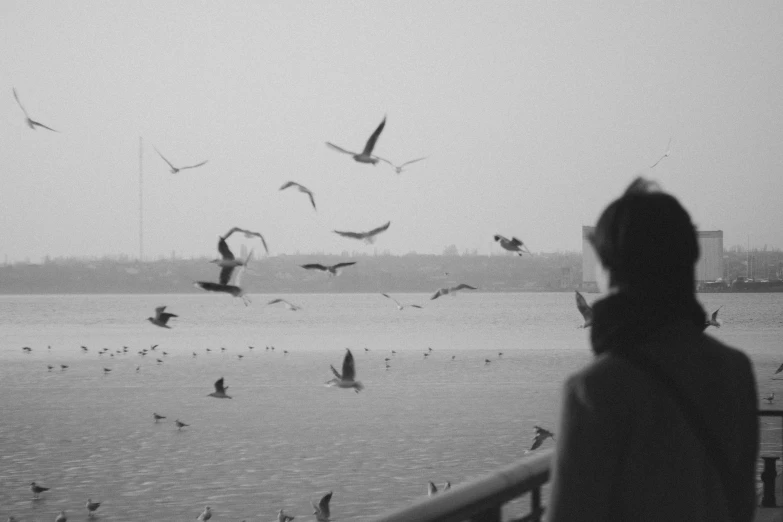 a black and white photo of birds flying over a body of water, a black and white photo, inspired by Sergio Larraín, pexels contest winner, surrealism, beautiful lonely girl, dayanita singh, :: morning, people watching around