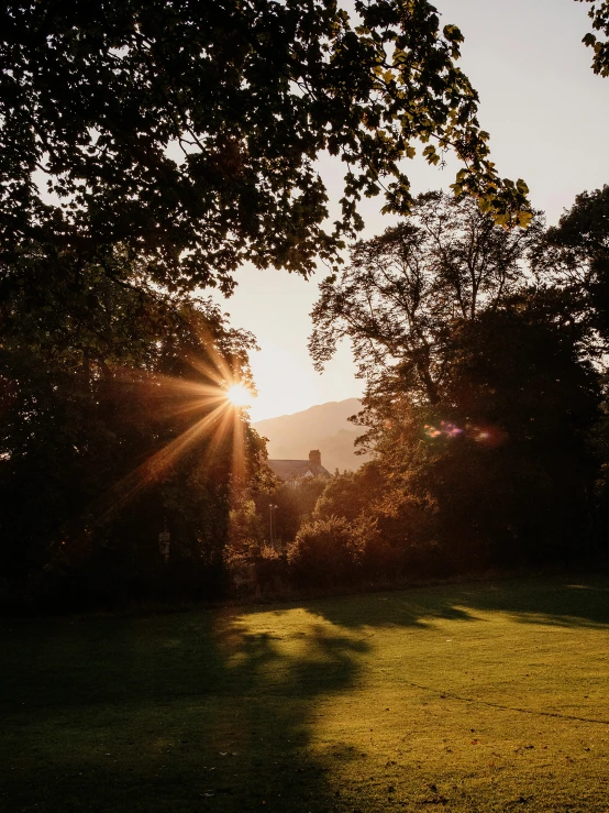 the sun is shining through the trees in the park, a picture, by Andrew Allan, unsplash contest winner, happening, late summer evening, lawn, sun rises between two mountains, light coming from the windows