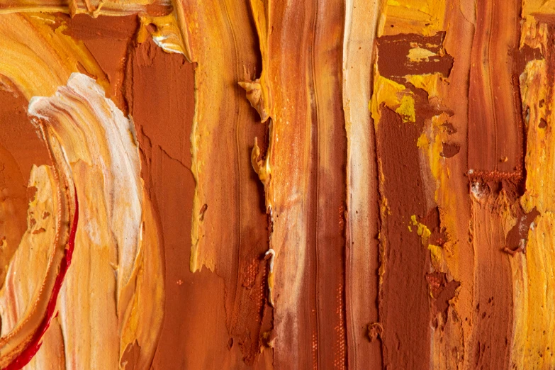 a close up of a painting on a wall, inspired by Christo, trending on pexels, lyrical abstraction, cinnamon skin color, detailed product image, bark for skin, shades of aerochrome gold