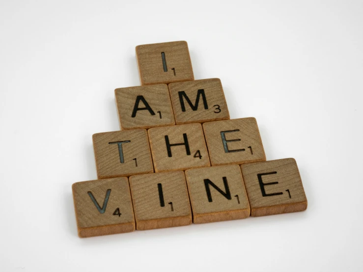 scrabbles spelling i am the vine on a white background, a picture, inspired by Ian Hamilton Finlay, unsplash, viennese actionism, from valve, wooden, avatar image, promotional photo