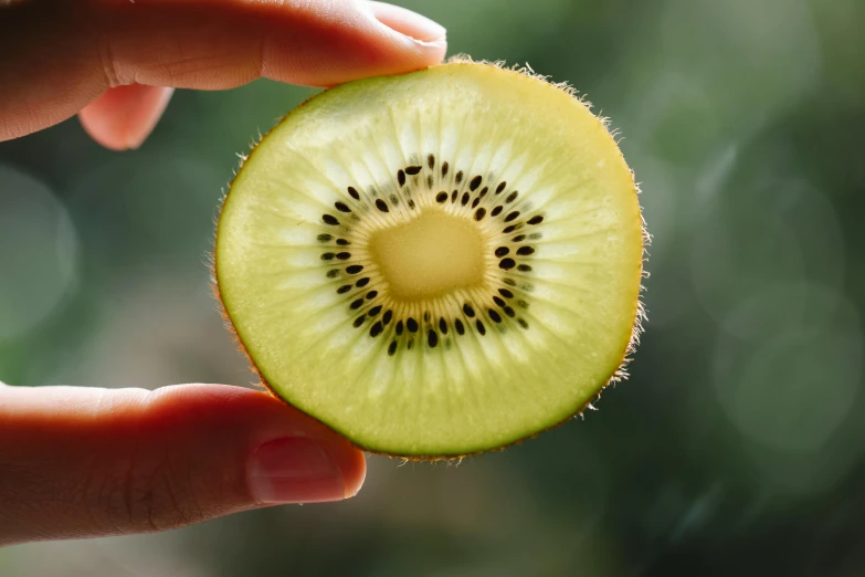 a person holding a half of a kiwi, by Julia Pishtar, trending on pexels, hurufiyya, glowing from inside, manuka, slightly sunny, petite pear slim figure