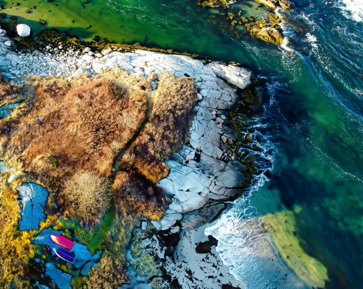 a red boat sitting on top of a rock next to a body of water, a tilt shift photo, by Adam Marczyński, conceptual art, colorful coral reef, aerial iridecent veins, kelp and moss all over, looking towards the camera