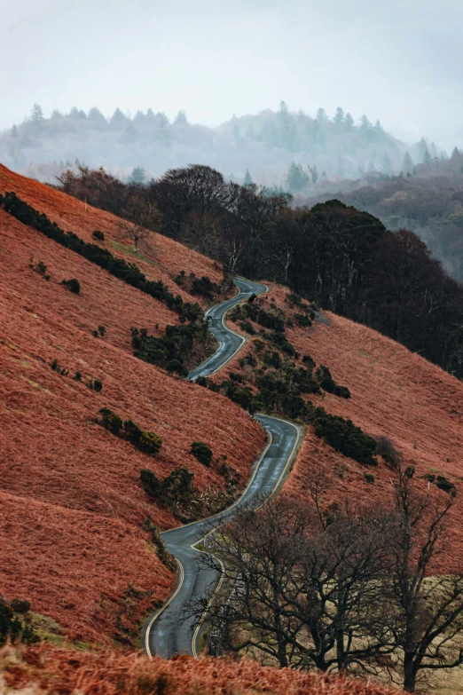 a winding road in the mountains on a foggy day, by Andrew Robertson, unsplash contest winner, romanticism, patches of red grass, wales, red trees, photo for a magazine