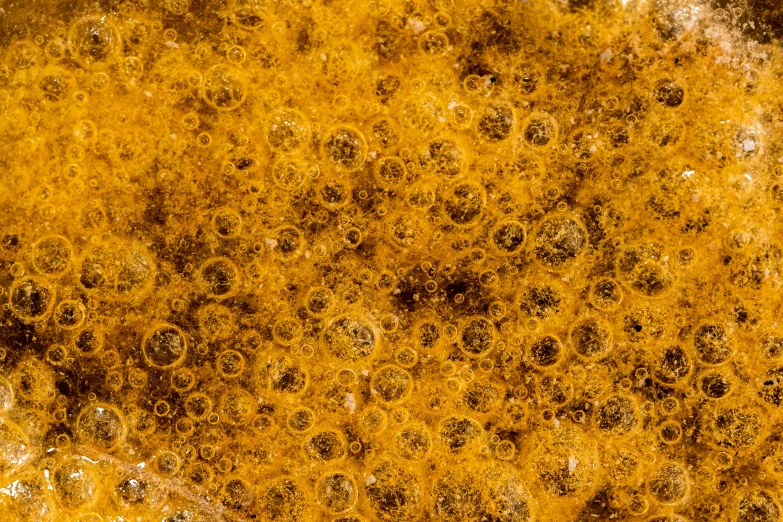 a close up of a yellow substance in a frying pan, a macro photograph, flickr, renaissance, lots of bubbles, weed background, brown, f / 1. 9 6. 8 1 mm iso 4 0