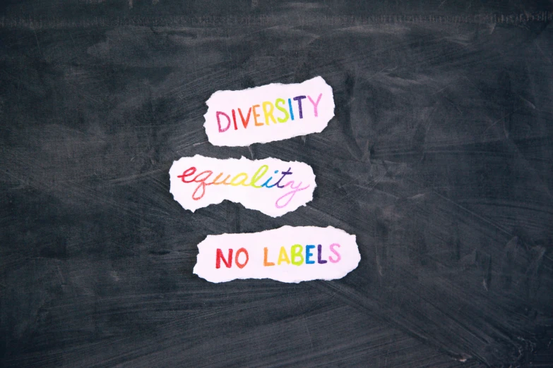 three pieces of paper that say diversity, equality, no labels, by Arabella Rankin, trending on pexels, medical labels, blackboard, lesbian art, product label