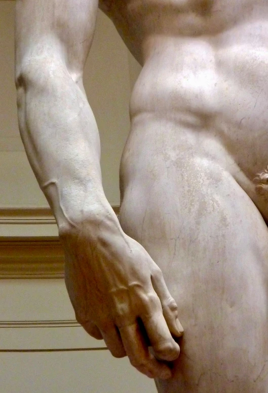 a close up of a statue of a man, by Michelangelo, flickr, accentuated hips, plated arm, art », pale - skinned