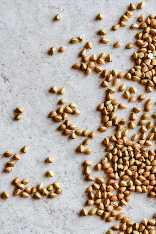 a pile of seeds sitting on top of a table, by Julia Pishtar, trending on pexels, renaissance, papyrus, mustard, detailed product shot, walking down