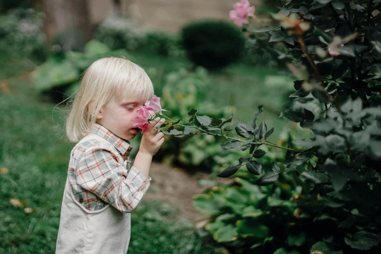 a little girl smelling a flower in a garden, inspired by Elsa Beskow, pexels contest winner, rose-brambles, young boy, pink, 15081959 21121991 01012000 4k