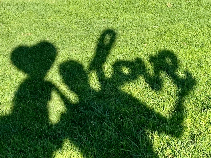 a shadow of a person holding a baseball bat, several hearts, on a green lawn, everyone having fun, avatar image