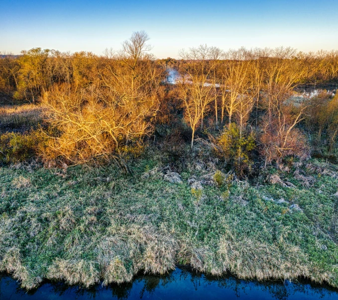 a river running through a lush green field, by Jan Rustem, unsplash, land art, bare trees, old american midwest, highly detail wide angle photo, golden hour photograph