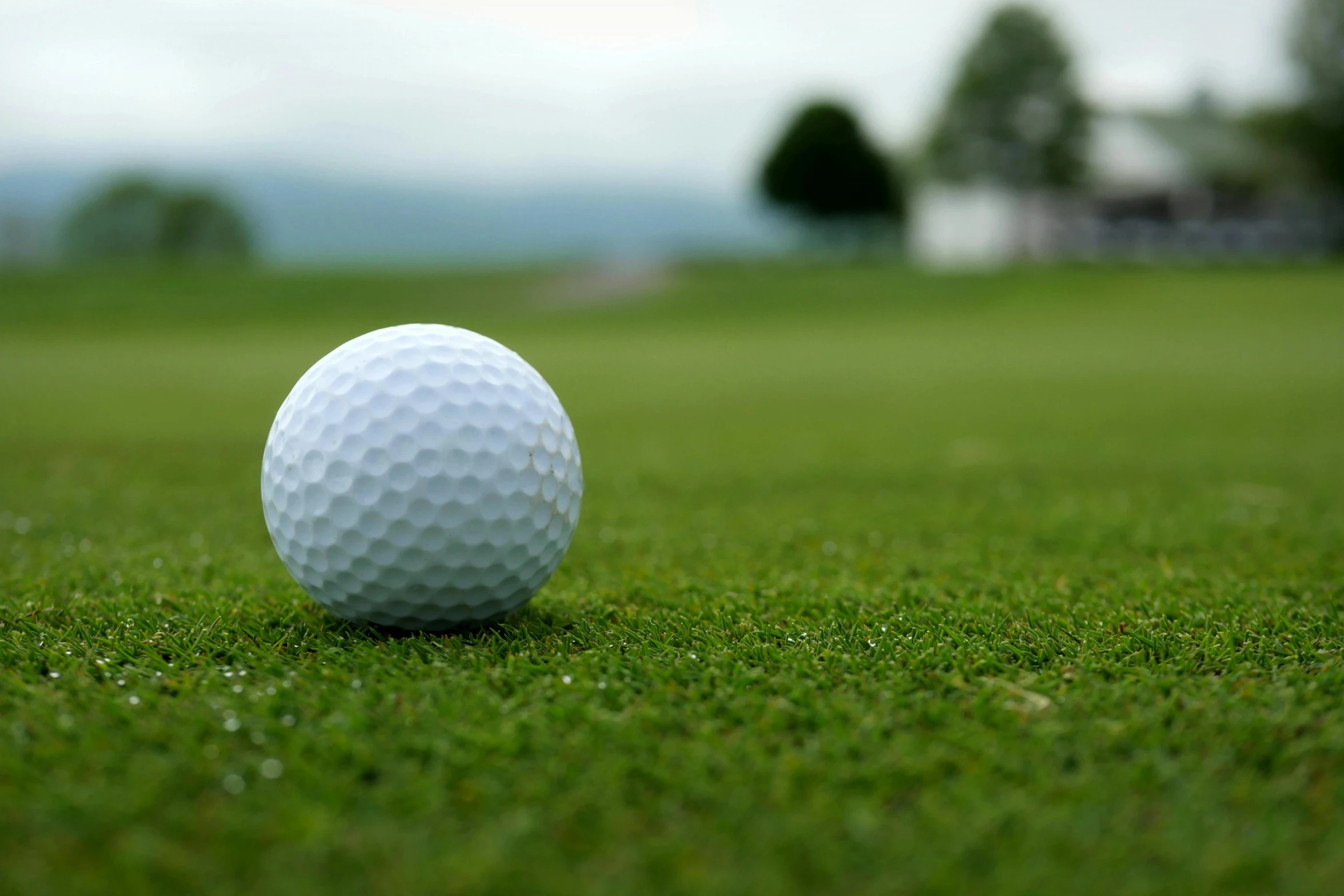 a golf ball sitting on top of a lush green field