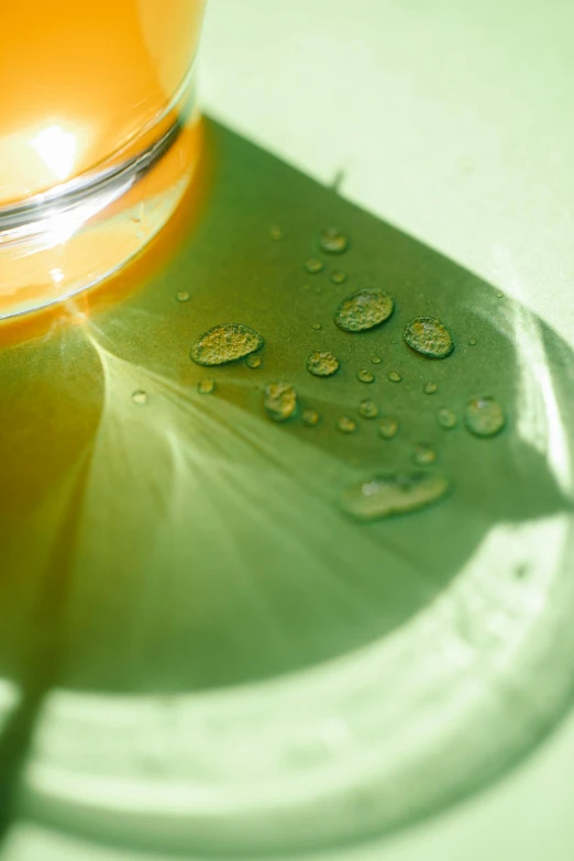 a glass of orange juice sitting on top of a table, a microscopic photo, by Doug Ohlson, green water, rays, tear drop, low sun