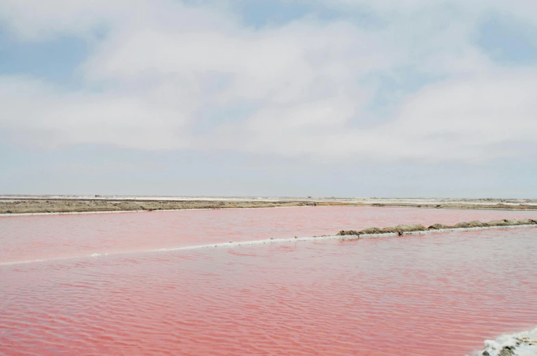 a large body of water filled with pink water, color field, vermillion, future miramar, victoria siemer, taken in the early 2020s