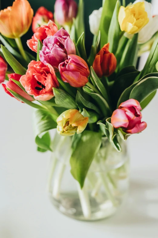 a vase filled with lots of different colored tulips, trending on unsplash, romanticism, on clear background, pink orange flowers, light on top, lighthearted celebration