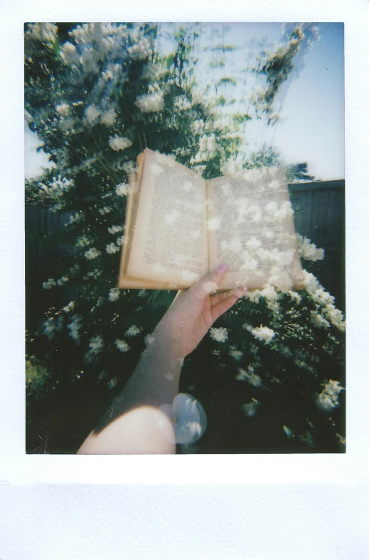 a person holding an open book in their hand, a polaroid photo, inspired by Elsa Bleda, happening, an aesthetic field of flowers, large)}], translucent white skin, disposable film