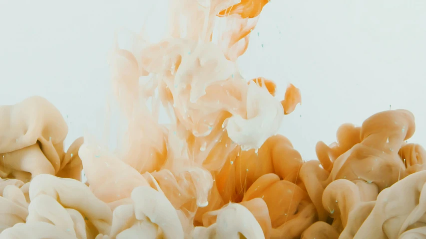 a close up of a white and orange substance, a minimalist painting, inspired by Alberto Seveso, trending on unsplash, smoke grenades, jumping towards viewer, jelly fishes, smooth coloring