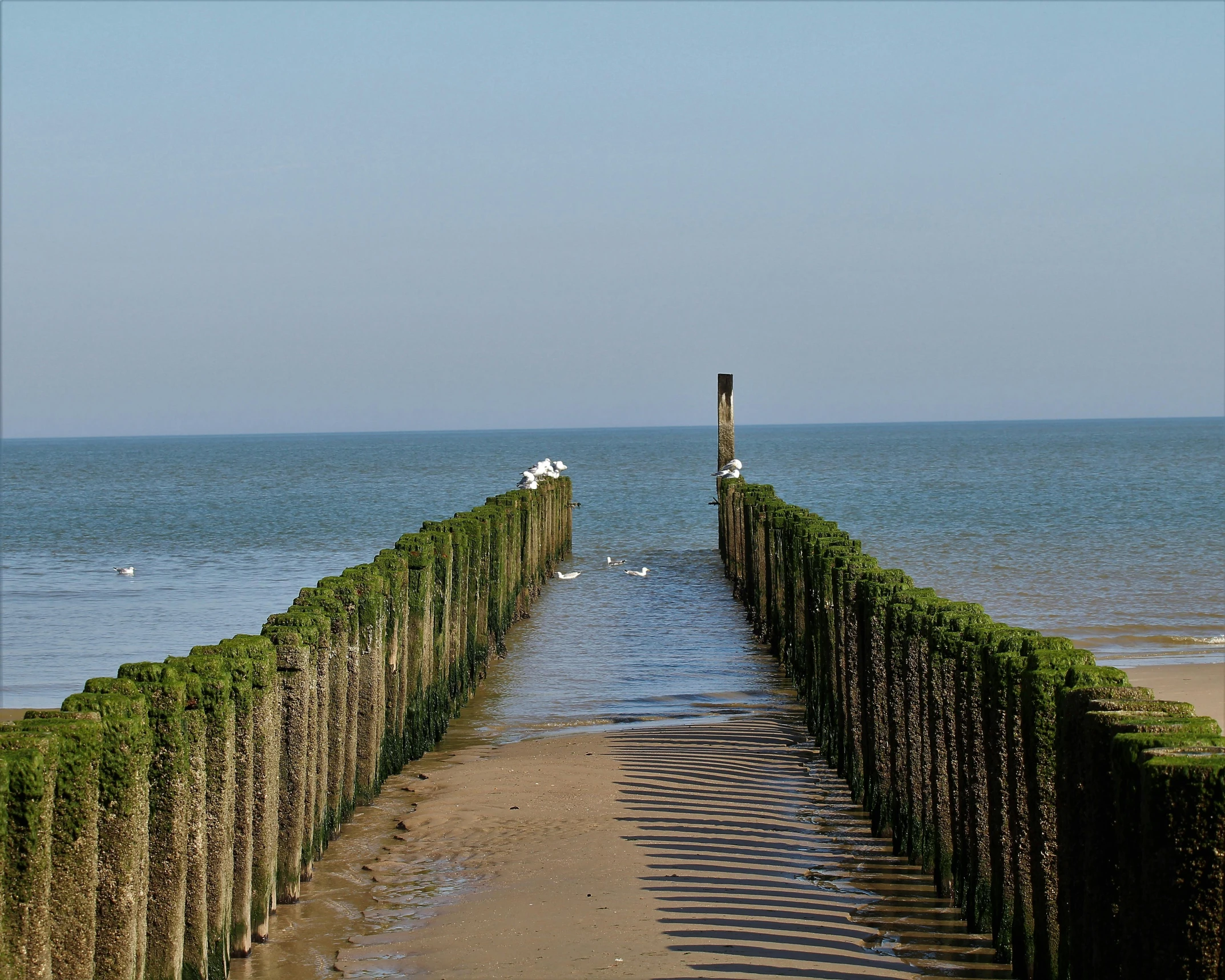 a long wooden pier next to a body of water, a picture, by Jan Tengnagel, unsplash, land art, dunkirk, green sea, hd footage, thumbnail