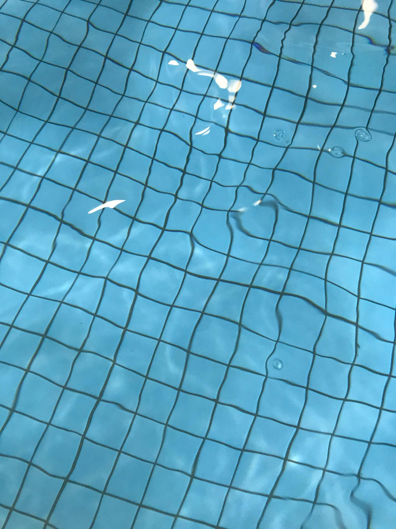 a dog playing with a frisbee in a pool, unsplash, hyperrealism, ((blue)), squares, alessio albi, detail shot