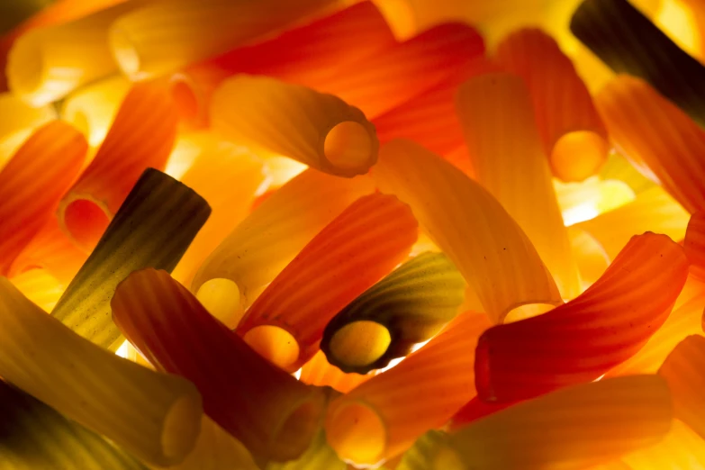 a close up of a bunch of pasta, a macro photograph, by Doug Ohlson, lava lamps, red orange and yellow leaves, glowing tubes, fins