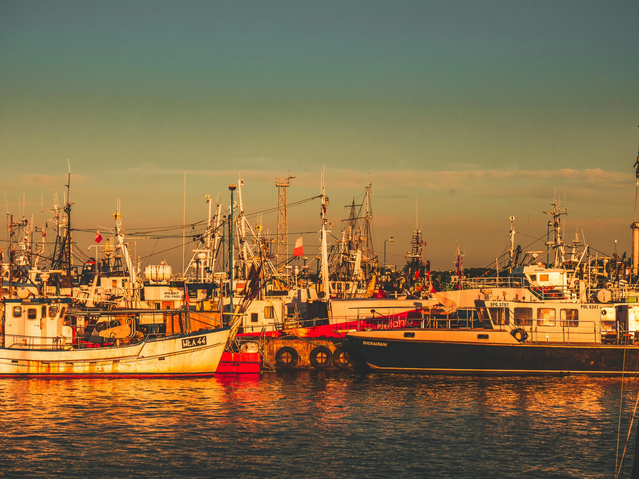 a number of boats in a body of water, by Carey Morris, pexels contest winner, fish seafood markets, evening light, profile pic, warm coloured