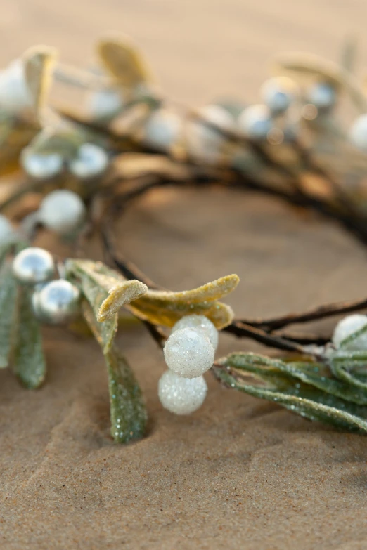 a close up of a flower crown on a table, backscatter orbs, frosty, full product shot, evergreen