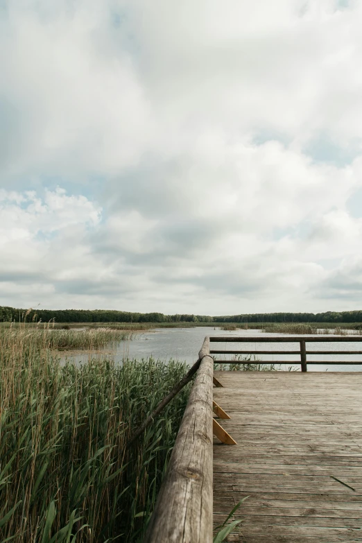 a wooden dock next to a body of water, by Jacob Toorenvliet, trending on unsplash, hurufiyya, phragmites, panorama view, low quality photo, airy landscape