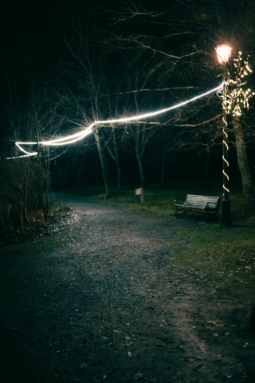 a street light in the middle of a park at night, an album cover, unsplash, land art, christmas lights, woodland location, low iso, side light