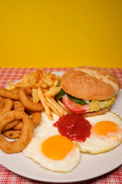 a close up of a plate of food on a table, flickr, photorealism, operating on burgers, eggs, highly detailed!!!, red yellow