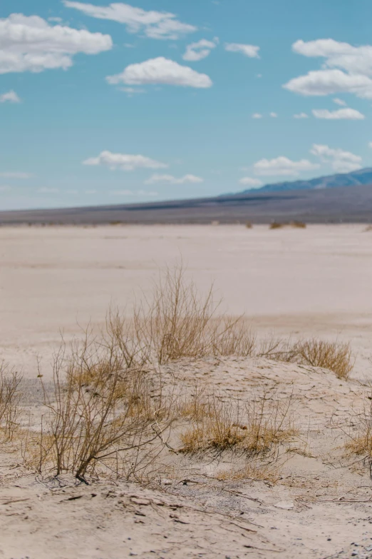 a red fire hydrant sitting in the middle of a desert, by Ryan Pancoast, land art, wide panoramic shot, sparse, long, rey