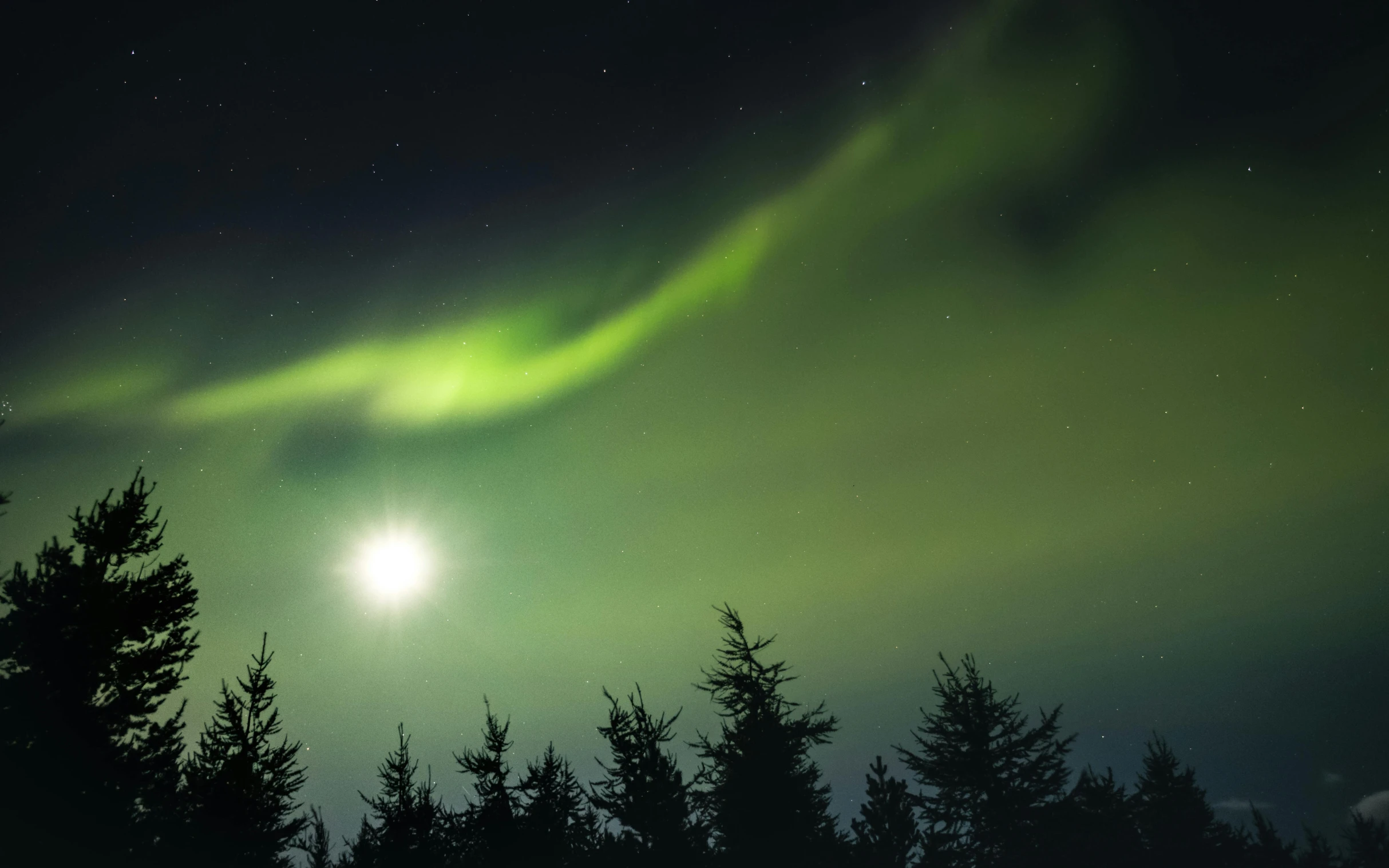 a bright green aurora bore in the night sky, pexels contest winner, hurufiyya, moonlight through trees, reykjavik, grey, night and bright sun